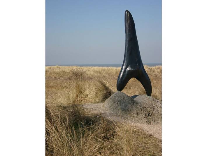 Waterranonkel 12 in Cadzand, Zeeuwse Kust