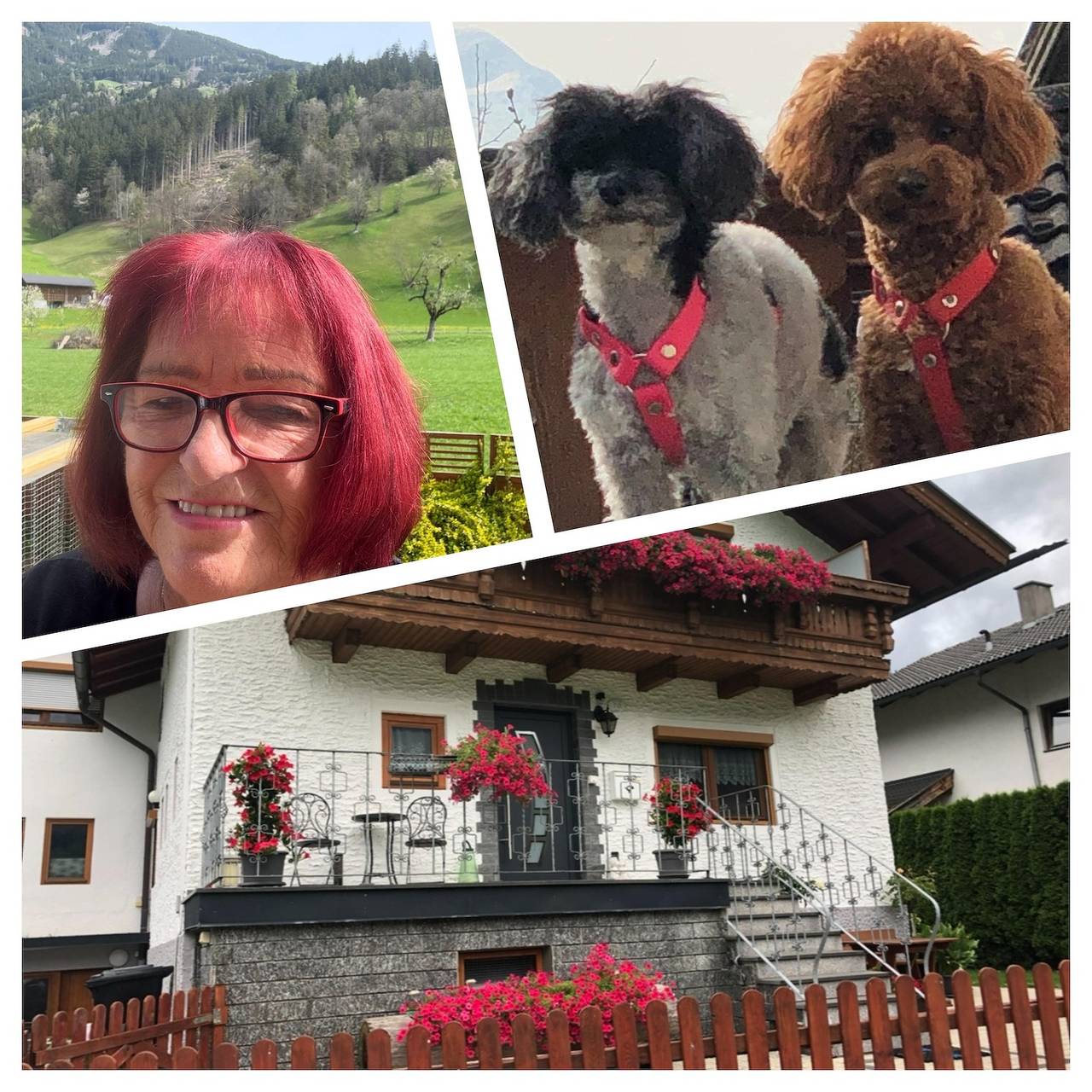 Ganze Ferienwohnung, Ferienwohnung Silvia in Stumm, Ski-Optimal Hochzillertal