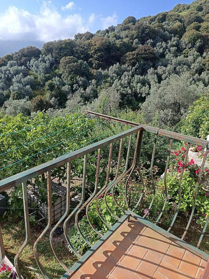 Location de vacances pour 4 personnes, avec vue et jardin à Sainte-Lucie-de-Tallano - 4