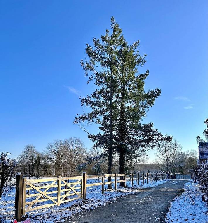Location de vacances pour 6 personnes, avec terrasse dans La Charmee - 3