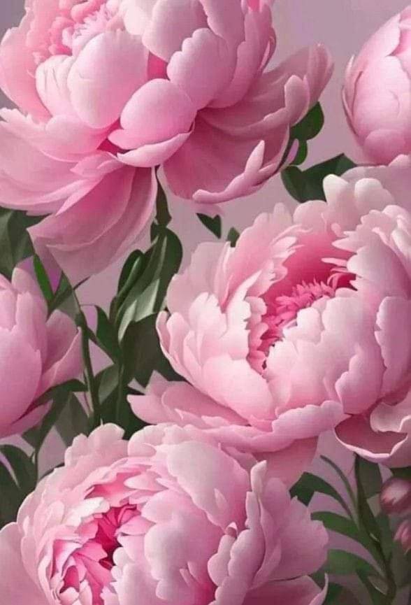 Appartamento per 6 persone, con giardino e panorama in Vitorchiano