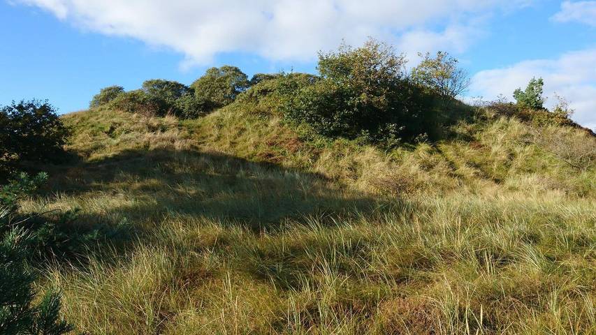 Ferienhaus mit Meerblick für 6 Personen, mit Terrasse auf Rømø - 2