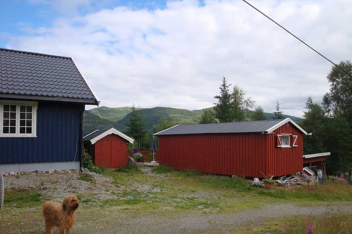 Feriehus for 3 personer, med hage, dyr tillatt i Trøndelag