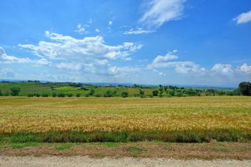 Villa for 10 People in Arezzo Province, Tuscany, Photo 3