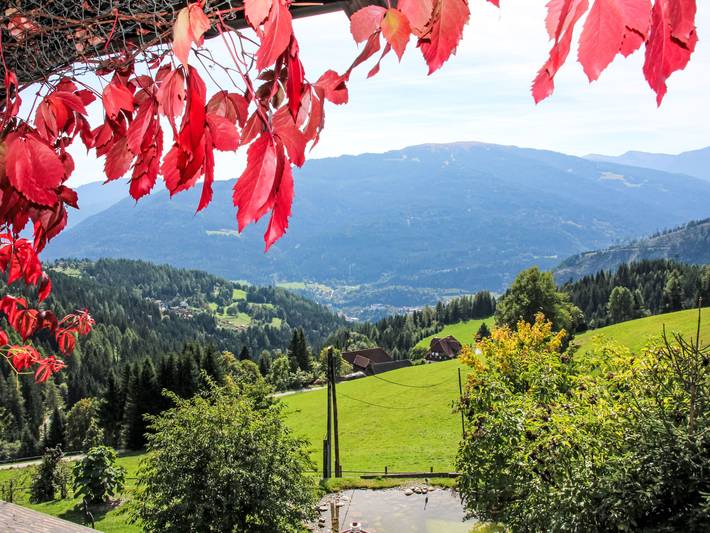Ferienwohnung für 3 Personen, mit Balkon und Garten sowie Pool in Murau - 3