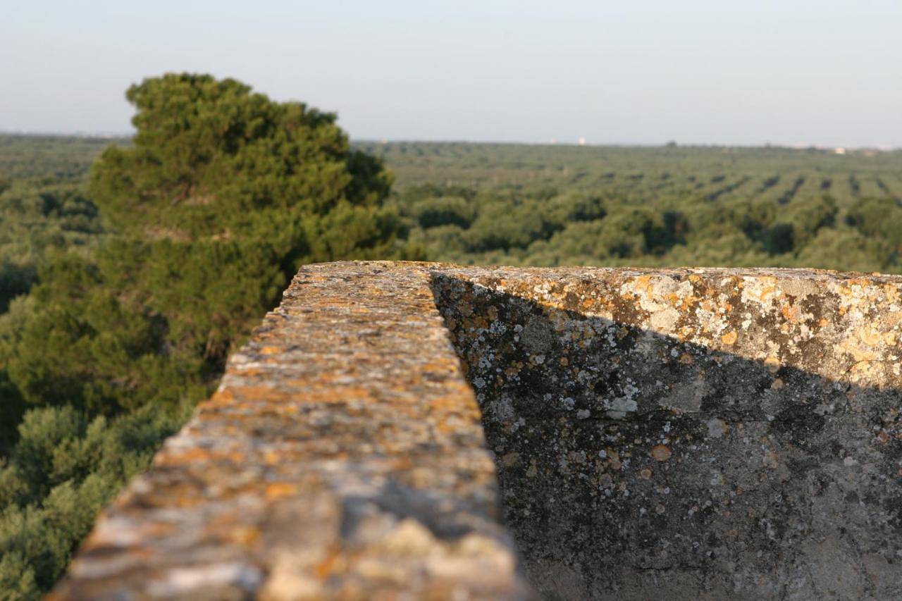 Agriturismo Torre del Cardo in Nardò (comune), Provincia di Lecce