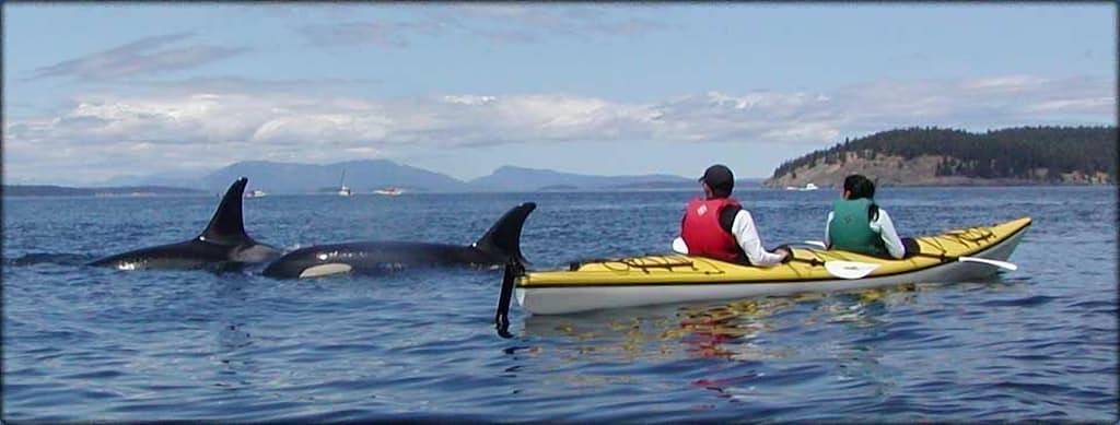 Vacation rental for 3 people, with terrace in Friday Harbor