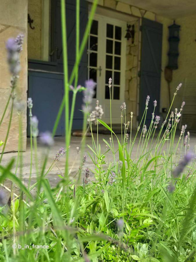 Chambre d’hôte pour 2 personnes, avec Terrasse et Jardin ainsi que Sauna et Vue à Castellane