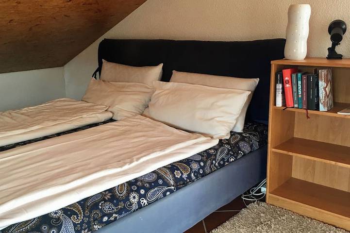 Ganze Wohnung, Gemütliches Dg Apartment mit Blick ins Grüne, Aircon und Highspeed Dsl in Waldsee, Rheinebene