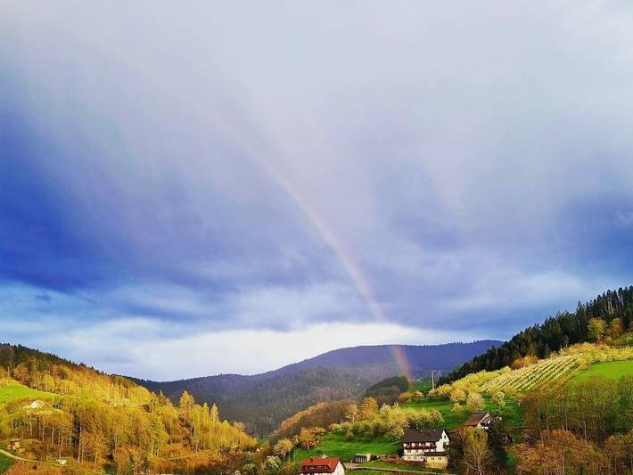 Ferienhaus für 5 Personen, mit Balkon und Ausblick in Bad Peterstal-Griesbach - 4