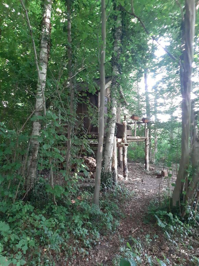 Baumhausnächte in Ladbergen, Münsterland