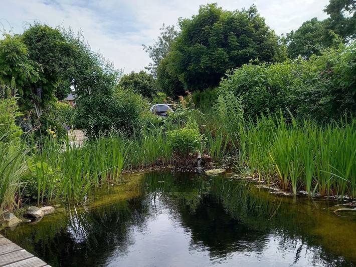Ferienhaus für 2 Personen, mit Terrasse und Garten sowie Sauna an der Ostsee - 4