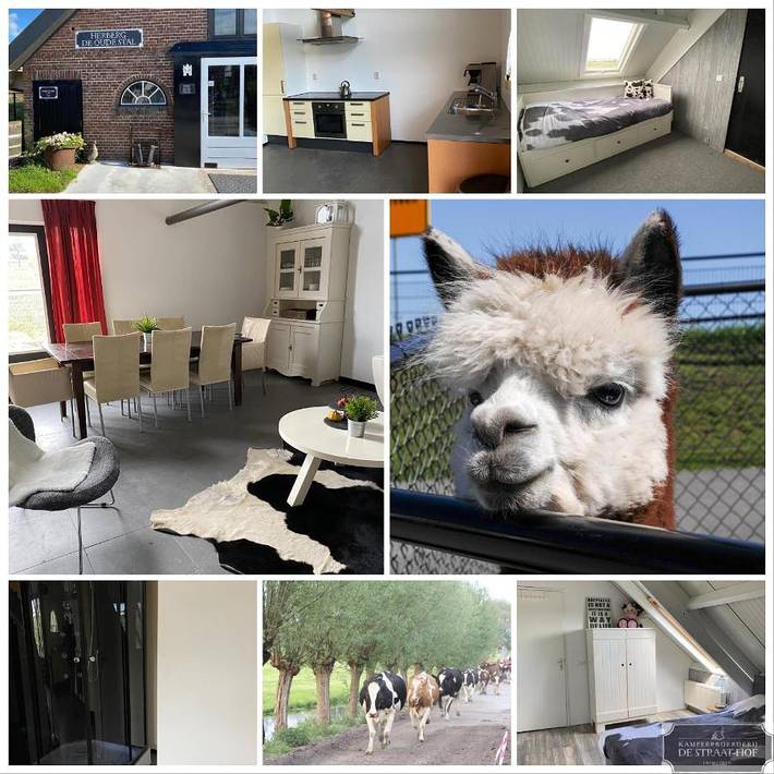 B&b voor 4 personen, with Terras and Tuin as well as Uitzicht in Leiderdorp