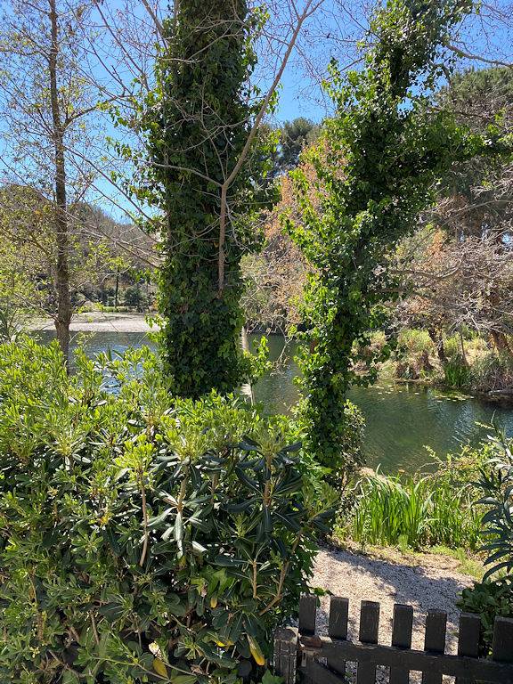 Gîte pour 2 personnes, avec vue sur le lac et terrasse dans La Coudoulière - 4