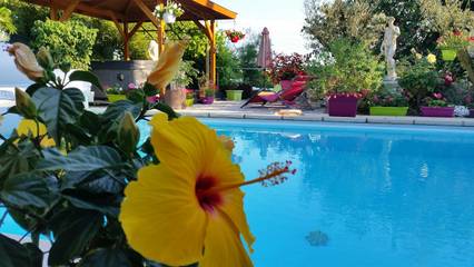 Gîte pour 4 personnes, avec terrasse ainsi que jardin et piscine dans Haute-Garonne