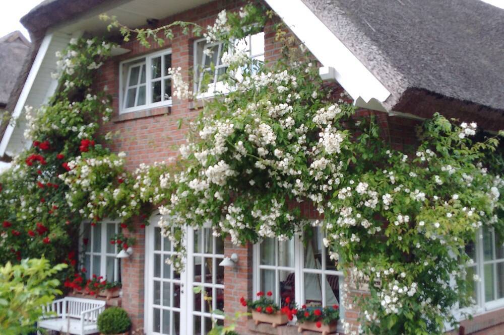 Exklusives 5-Sterne-Ferienhaus unter Reet - direkt bei Binz in Pantow, Zirkow