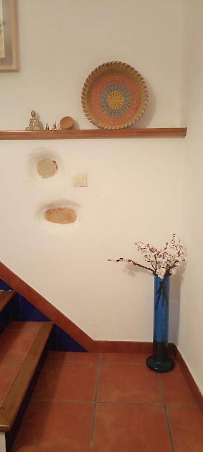 Casa rural para 7 personas, con vistas y jardín, Se admiten mascotas en Alanís - 4