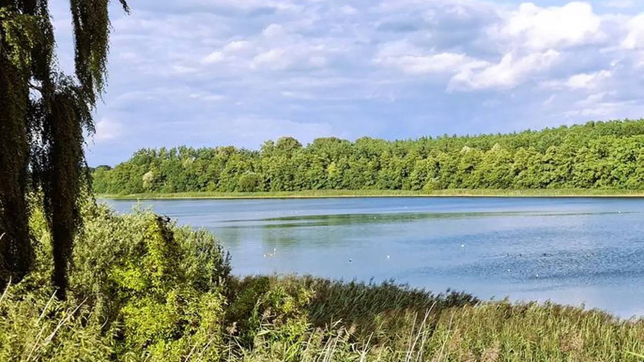 Ferienhaus für 3 Personen (34 m²) in Südmüritz in Südmüritz, Müritz