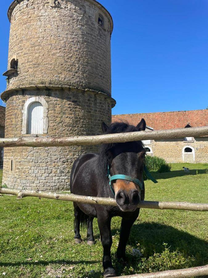 Location de vacances pour 8 personnes, avec piscine et jardin à Hesdin-l'Abbé - 3