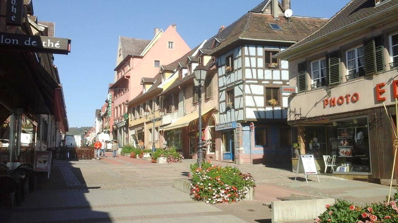 Appartement entier, Triplex Apartment in Saverne, Région de Saverne