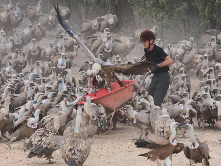 Casa rural para 2 personas, con terraza y vistas en Massis dels Ports - 3