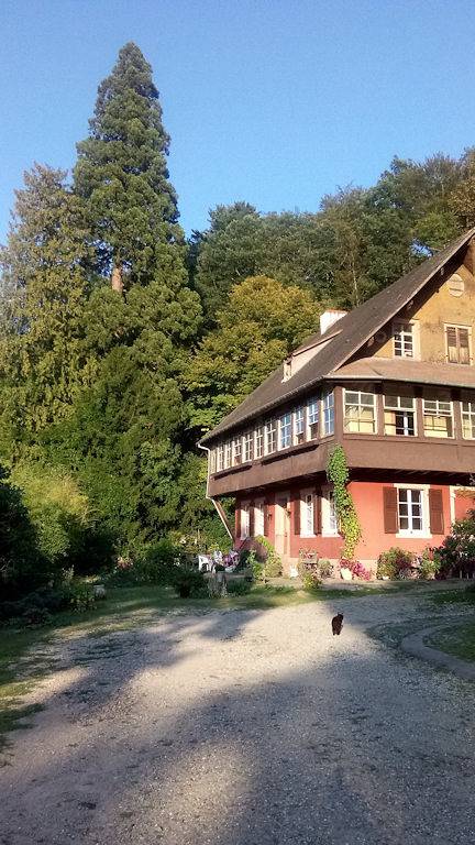Gîte Cadichon, site exceptionnel, Vallée Munster in Munster, Parc naturel régional des Ballons des Vosges