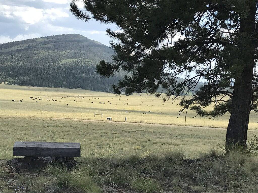 4 Br Mountain Getaway, Grenzen National Forest in Park County