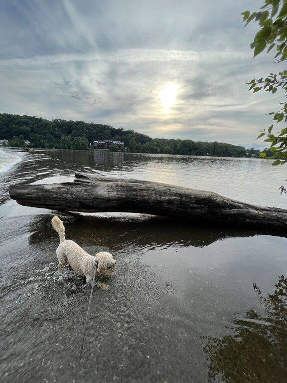 Ganze Wohnung, Lambertville-in town-Elevated Deck-Stroll by Delaware River just blocks away in Hunterdon County