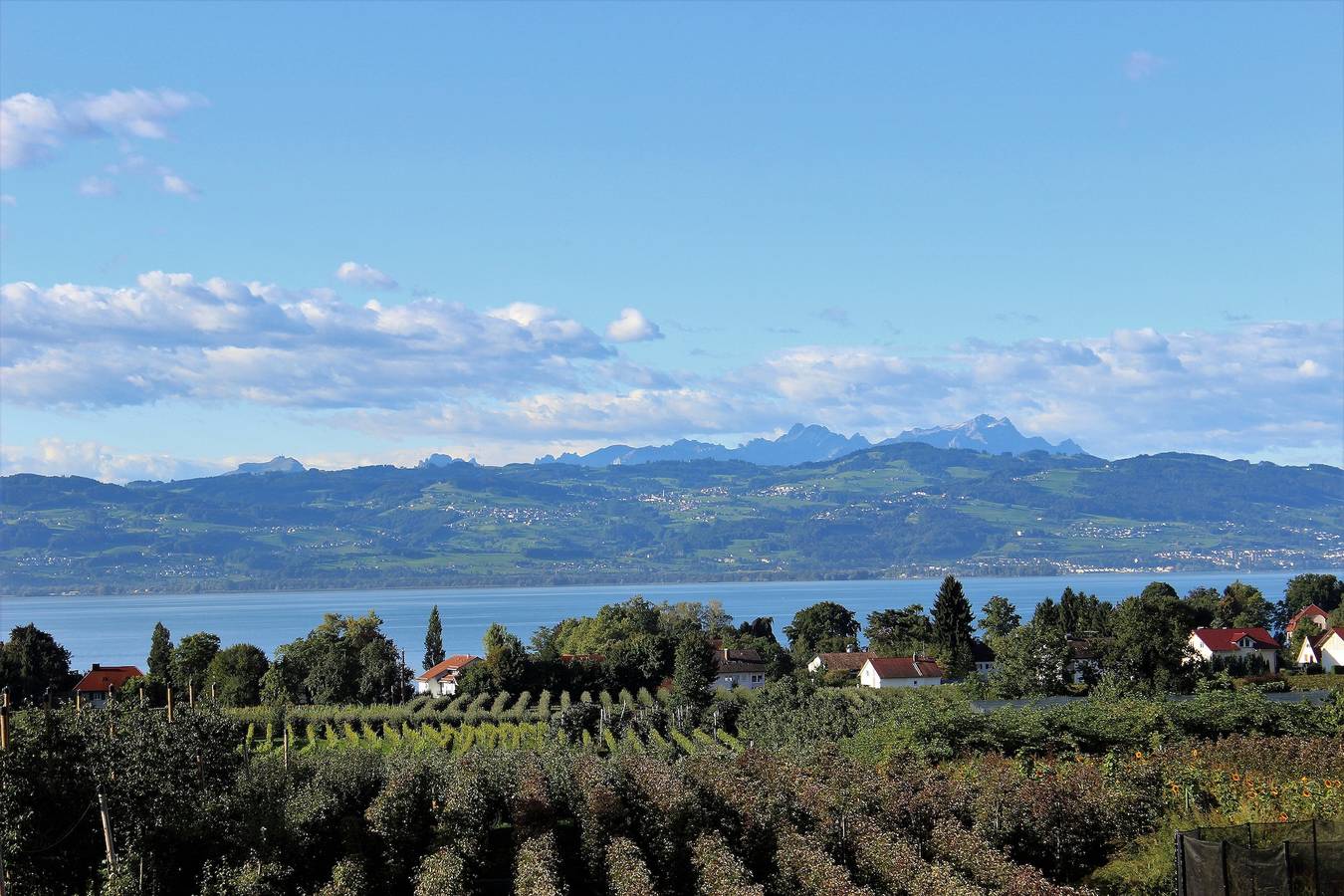 Ganze Ferienwohnung, Obsthof und Ferienhof Hund - Ferienwohnung 3, 64qm, 2 Schlafzimmer, max. 4 Personen in Wasserburg (Bodensee), Bayerisch Schwaben