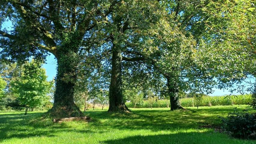 Location de vacances pour 6 personnes, avec terrasse et jardin à Plouay - 2