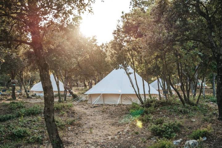 Tente pour 6 personnes, avec jardin et vue, animaux acceptés dans les Alpes-de-Haute-Provence - 4