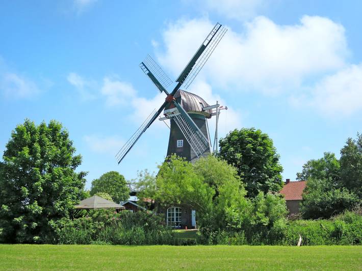 Ferienhaus für 6 Personen, mit Terrasse und Garten in Westerbur