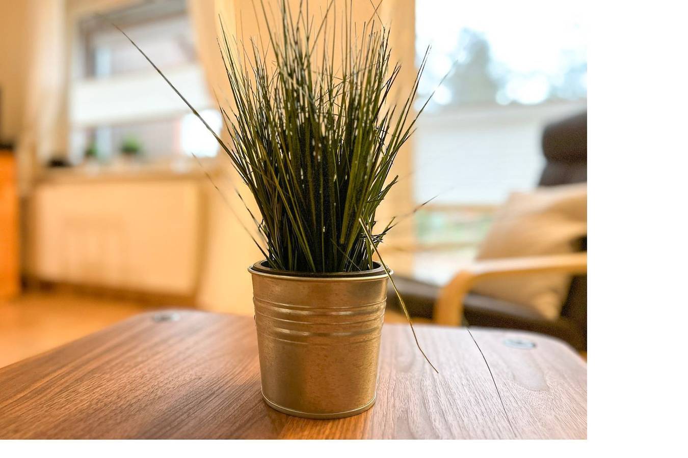 Urlauberdorf Haus 26b in Boltenhagen, Nordwestmecklenburg (Wismar und Umgebung)