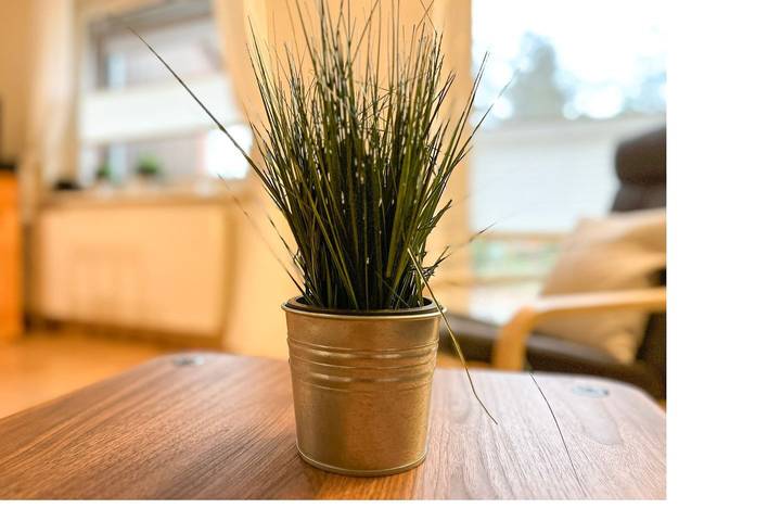 Ferienhaus für 4 Personen, mit Terrasse, mit Haustier in Boltenhagen - 3