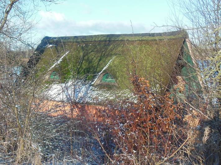Ferienhaus mit 1 Schlafzimmer in Alt Schwerin, Plauer See