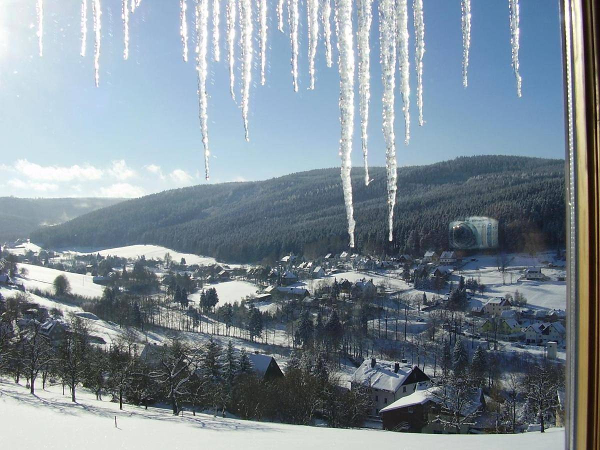 Ganze Wohnung, Apartment with Mountain View in Rittersgrün, Breitenbrunn / Erzgebirge