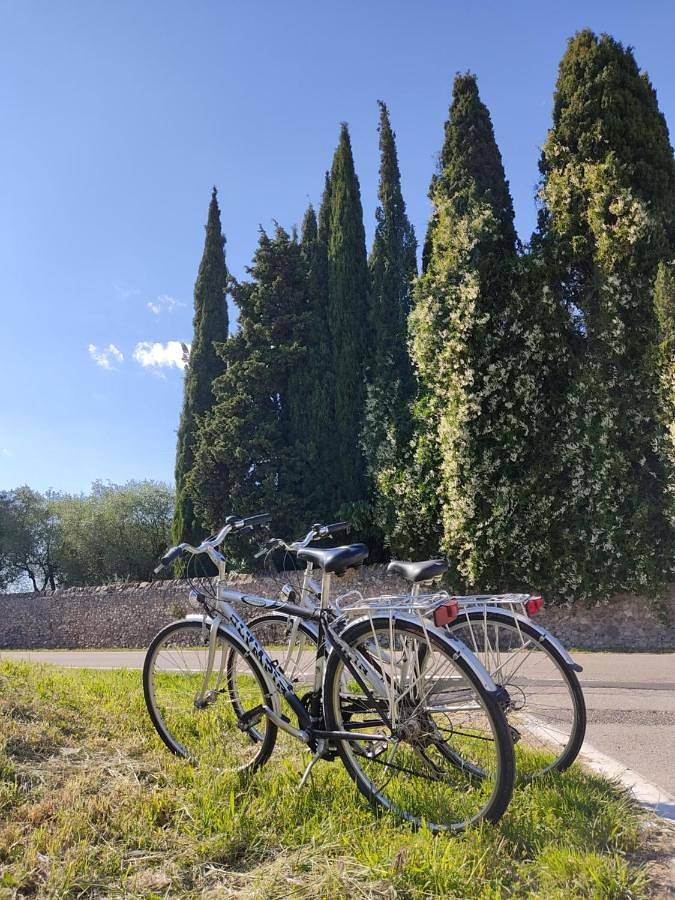 Casa Pepe in Colà, Lazise