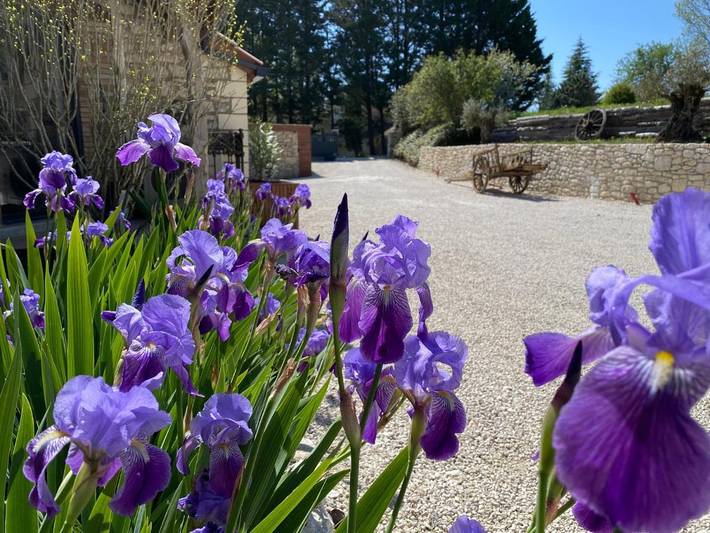 Location de vacances pour 2 personnes, avec Terrasse et Jardin ainsi que Piscine et Vue à Tréjouls