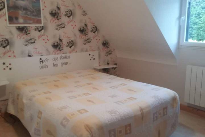 Location de vacances pour 6 personnes, avec jardin et terrasse, animaux acceptés à Pédernec - 3