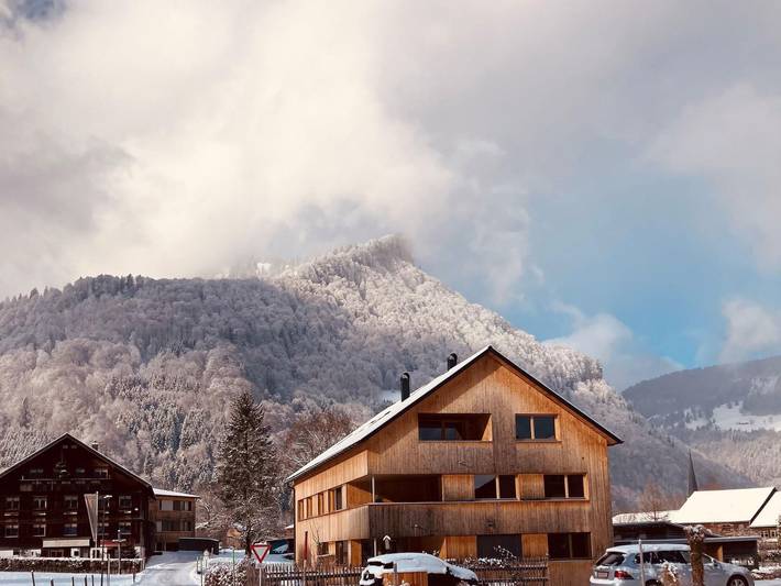 Ganze Ferienwohnung, Hus 56 - Apartment Hangspitze in Bregenzerwald (Vorarlberg), Mellau