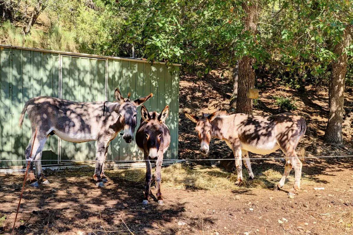Chalet Provence sin baño 4 personas in Esparron-de-Verdon, Parc naturel régional du Verdon