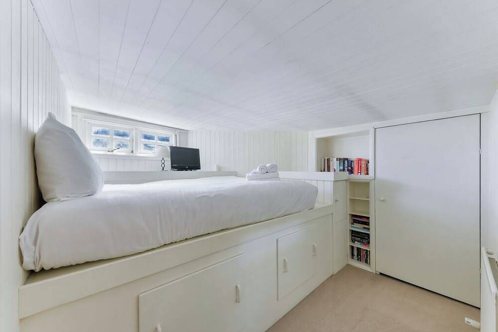 Huge & Bright 4-Bed Houseboat on the River Thame next to Wandsworth Park in Wandsworth, London