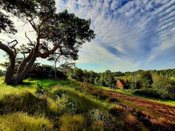 Ferienhaus für 6 Personen in Vejby, Gribskov, Bild 3