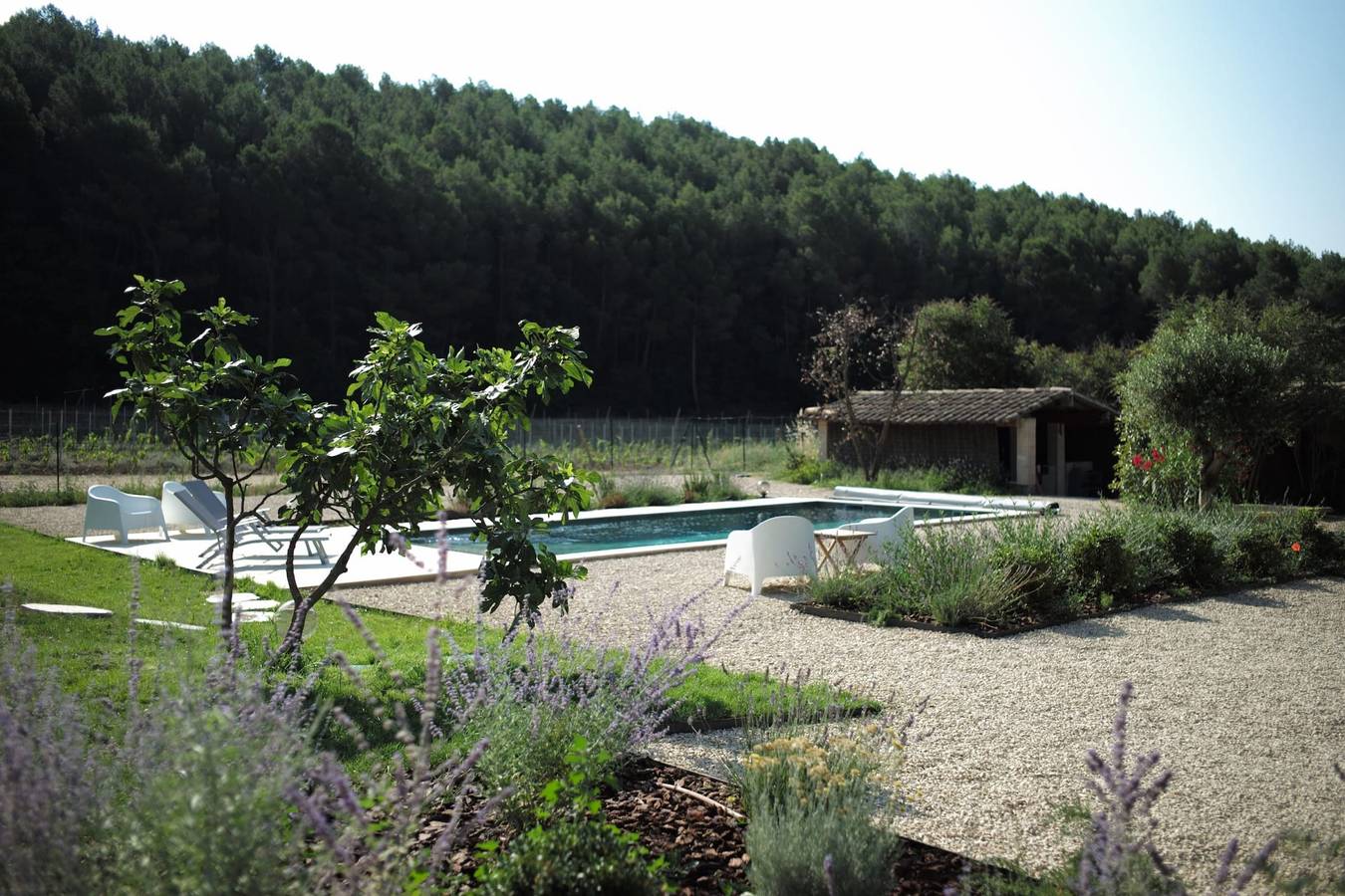 Maison des Vignes: Swimming pool and charm in Lauris in Lauris, Parque natural regional del Luberon