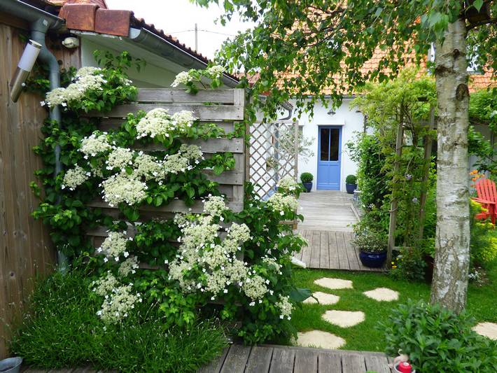 Chambre d’hôte pour 2 personnes, avec jardin dans le Pas-de-Calais - 2