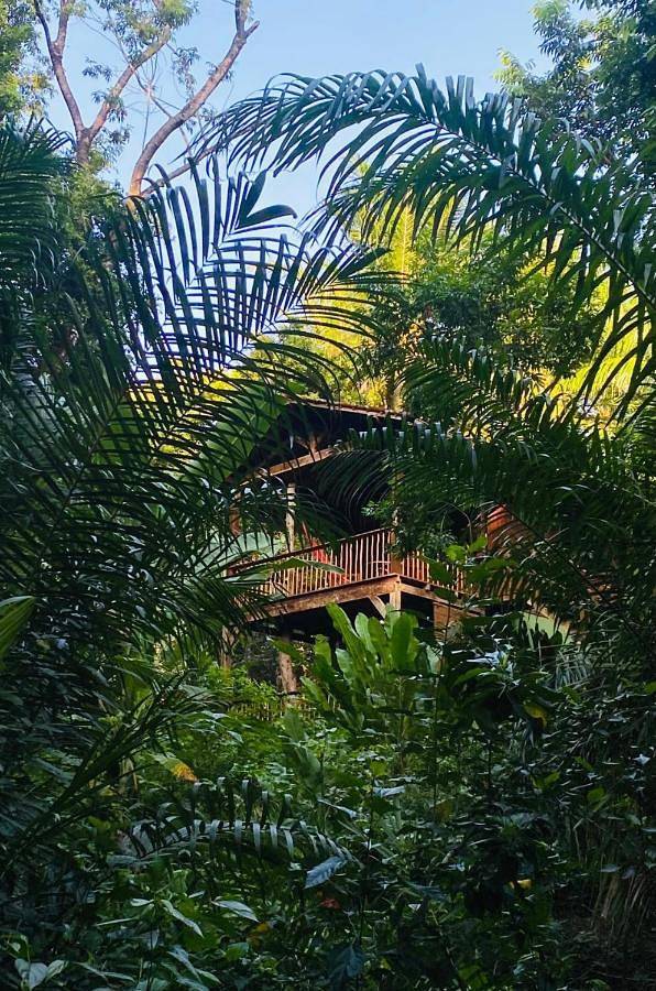 Pousadas para 2 pessoas, com jardim e vista e ainda terraço em Ilha de Boipeba