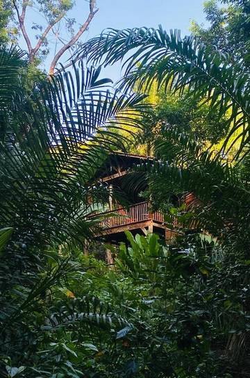 Hôtel pour 2 personnes, avec terrasse ainsi que jardin et vue dans Ilha de Boipeba