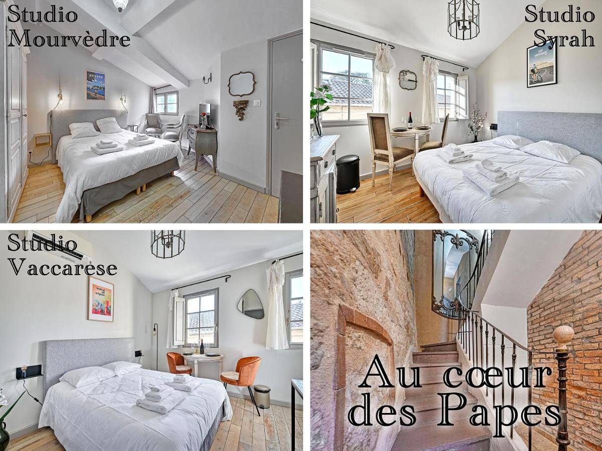 Appartement entier, Au cœur des Papes, dans bâtisse de charme studios & appartements en cœur de ville in Avignon, Vaucluse