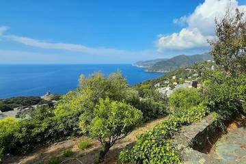 Gîte pour 9 personnes, avec jardin, animaux acceptés dans Plage de la Marine de Scalo