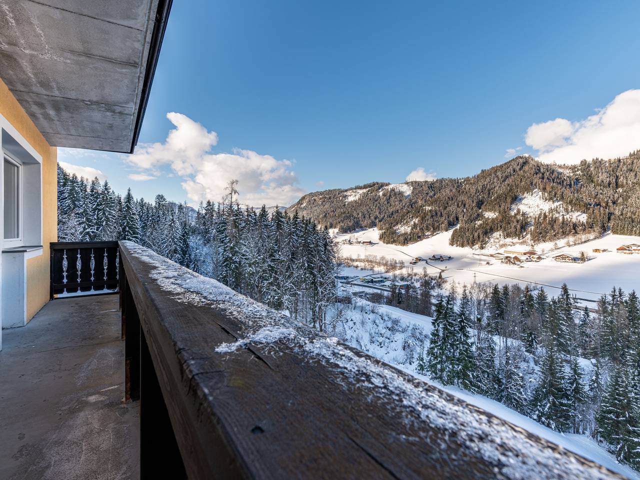 Pilz in Rohrmoos, Schladming-Dachstein